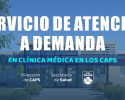 SERVICIO DE ATENCI�N A DEMANDA EN LOS CAPS
